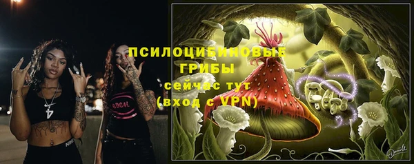 крисы Балахна