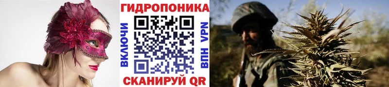 Бошки Шишки SATIVA & INDICA  Пыталово 